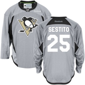 Men's Pittsburgh Penguins Tom Sestito Reebok Authentic Practice Team Jersey - - Gray